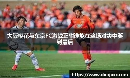 世俱杯官方用球