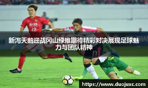 世俱杯官方用球